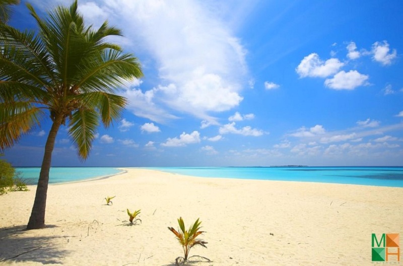 Giải pháp sang trọng trong trang trí ngôi nhà bạn