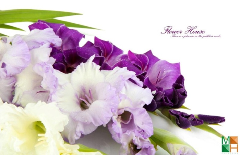 Giải pháp sang trọng trong trang trí ngôi nhà bạn